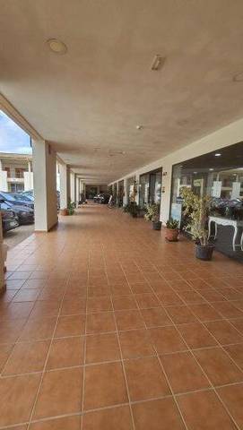 Local comercial en Alquiler en San Enrique - Guadiaro -  Pueblo Nuevo
