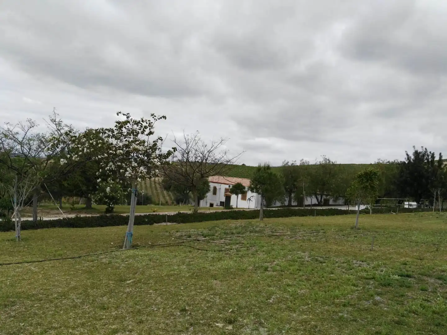 Finca rústica en venda en Arcos de la Frontera amb Jardí privat i Piscina comunitària