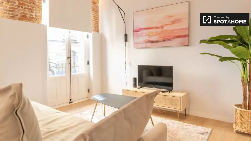 Wohnung mit Terrasse zur Miete in Centro