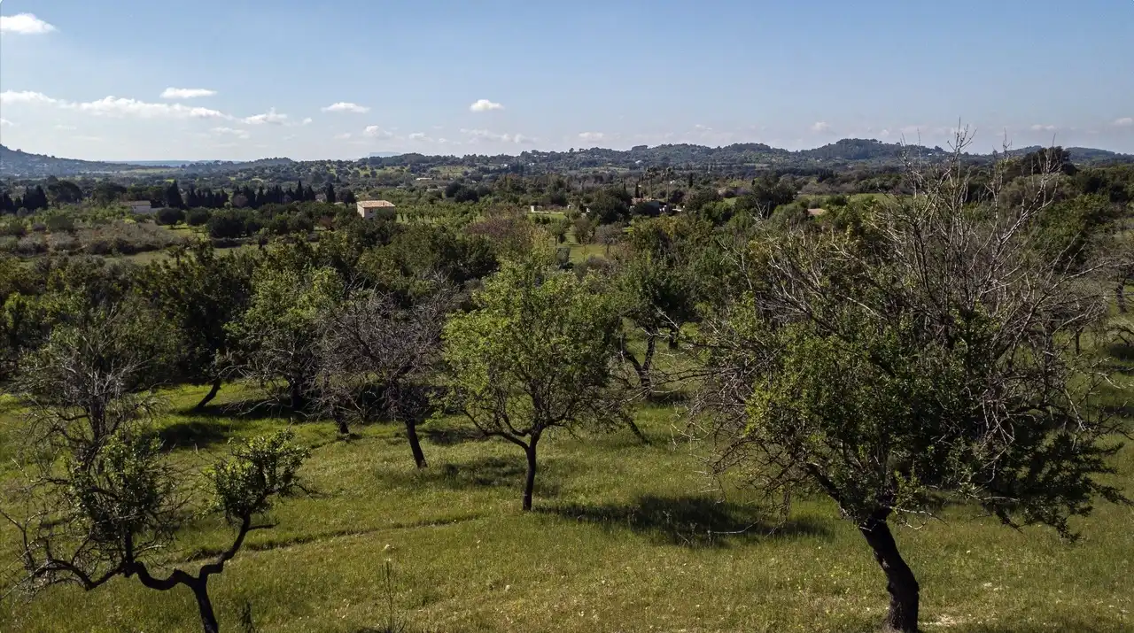 Terreni e lotti in vendita a Selva, imagen 30
