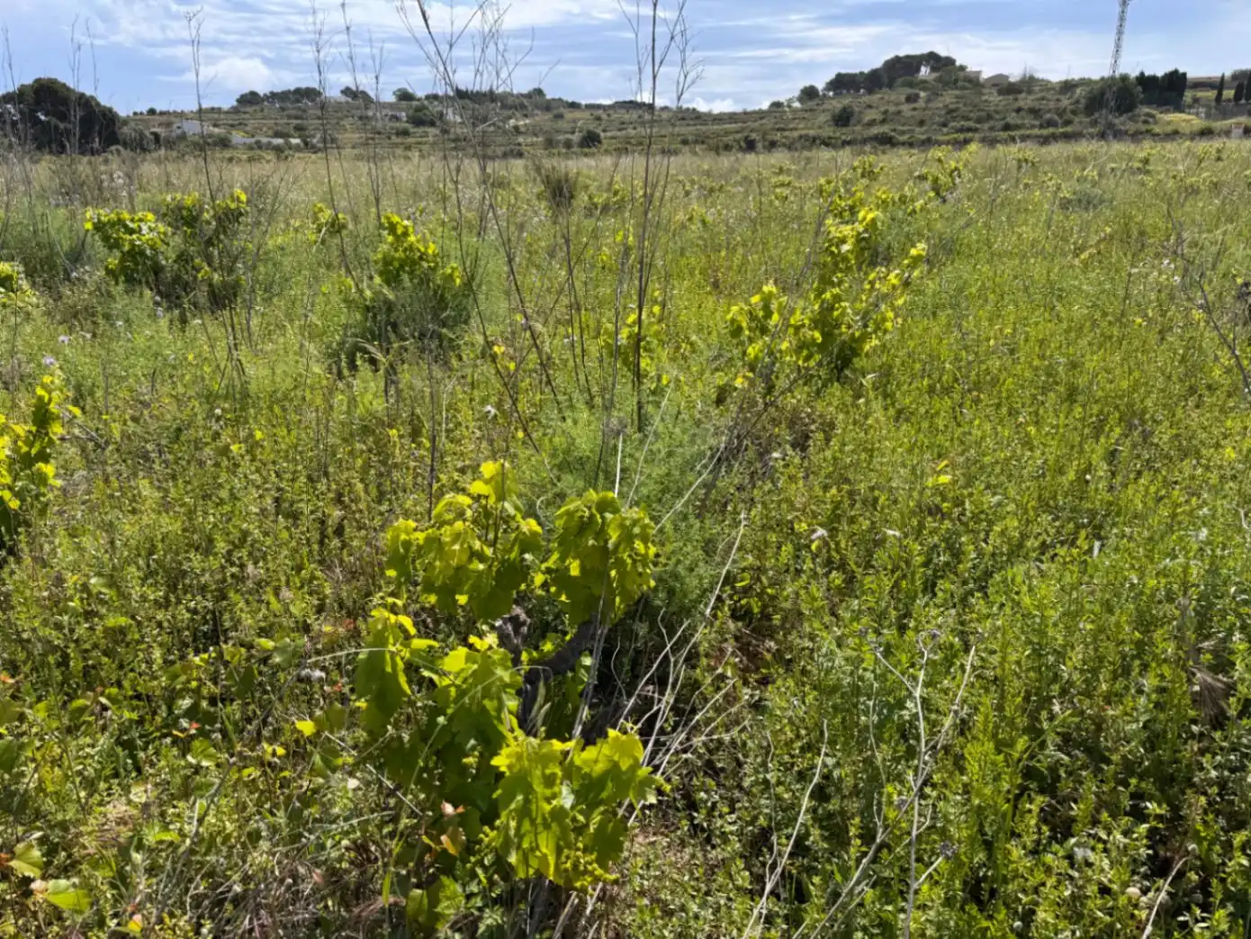 Residencial en venda en Benissa