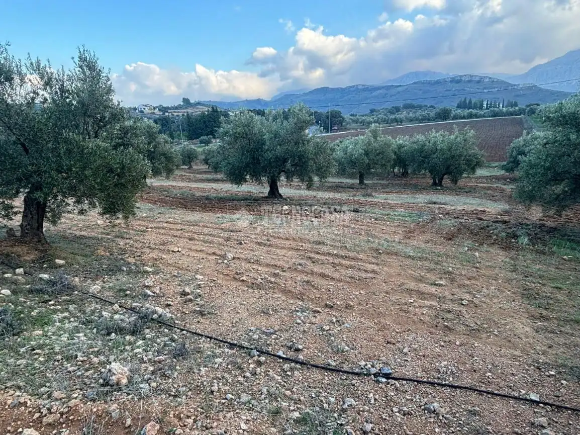 Terreni e lotti in vendita a Centro, imagen 10
