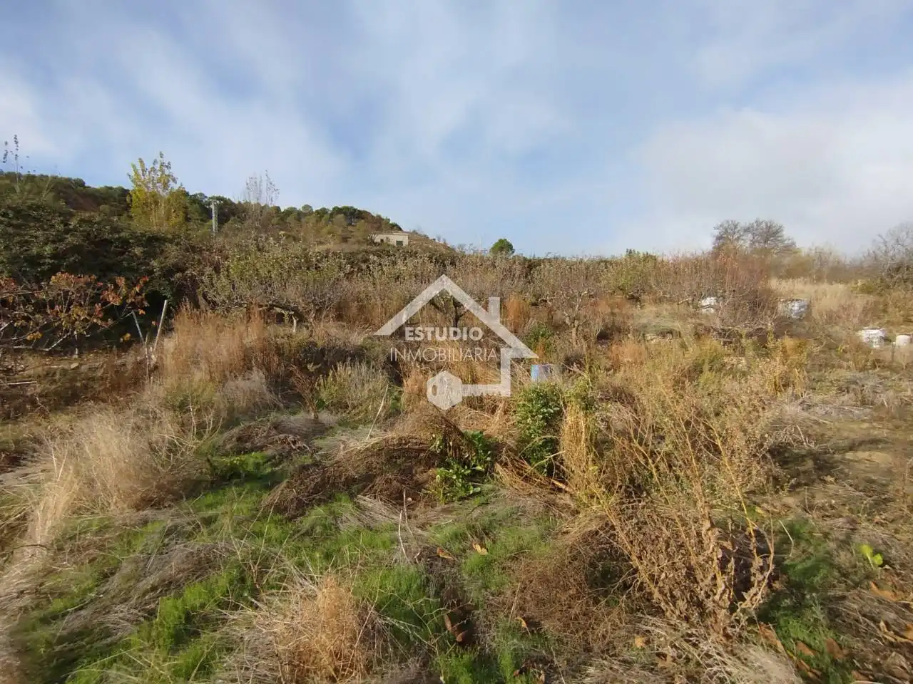 Rural land for sale in Calle Arbanta, imagen 31