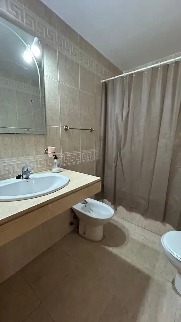 Bathroom of Flat for rent in Algeciras  with Air Conditioner, Furnished and Pets allowed