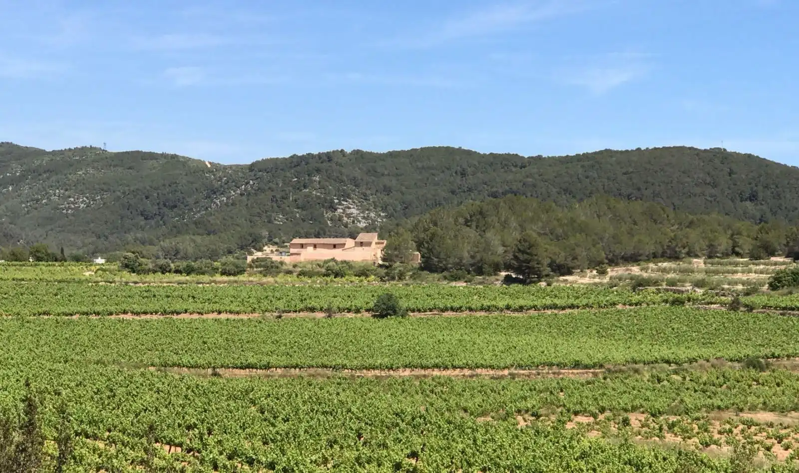 Exterior view of Land for sale in Sant Pere de Ribes