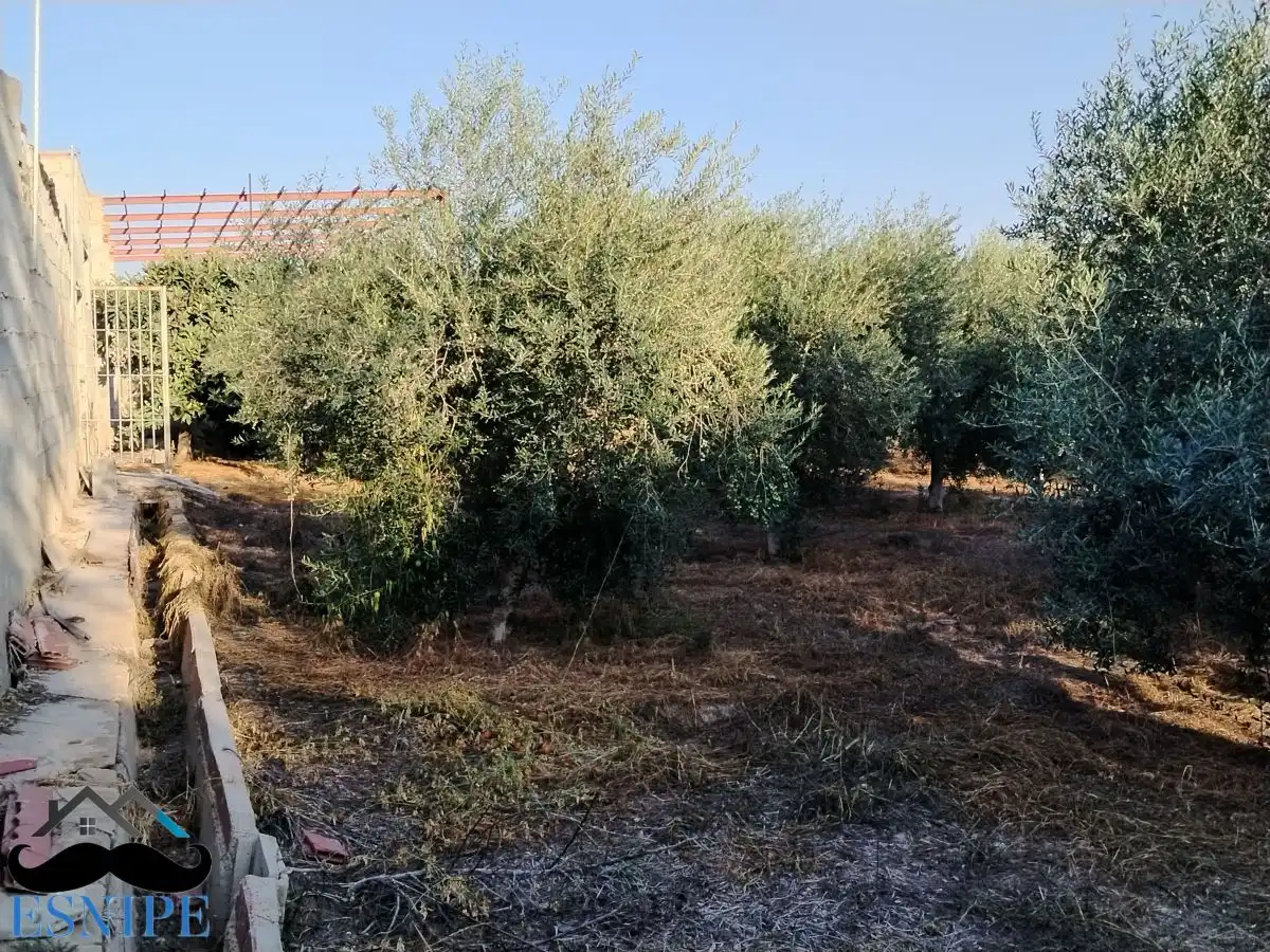 Country homes for sale in Archena
