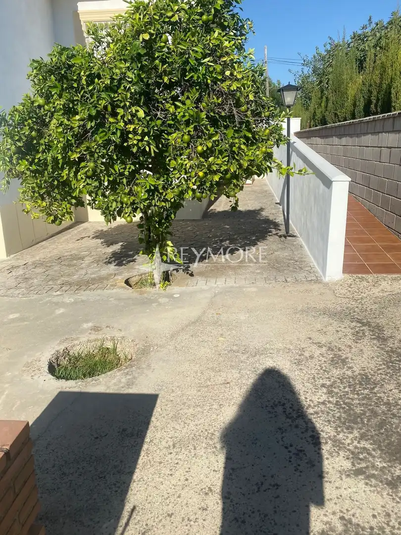 Houses for sale in El Higuerón