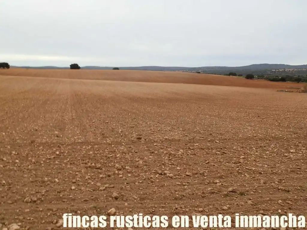 Terreny rústic en venda a Calle Albacete 10, imagen 6
