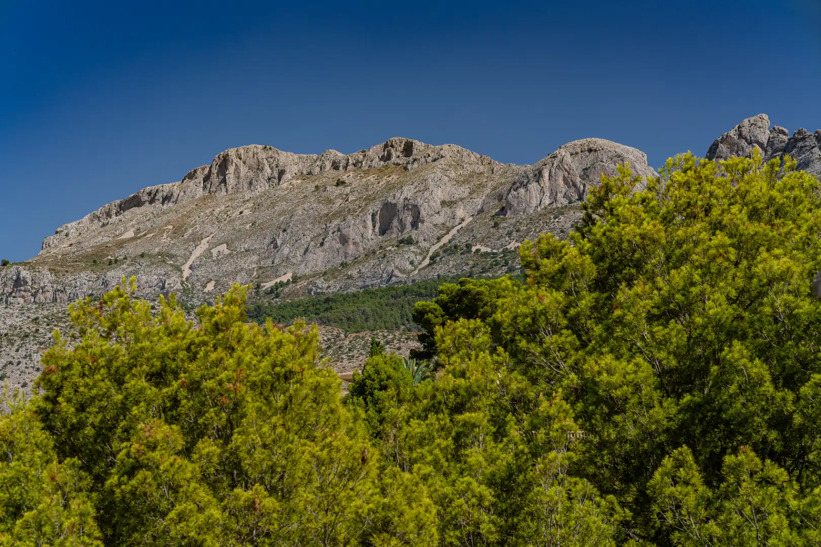 Villa con piscina in vendita a Altea la Vella, imagen 77