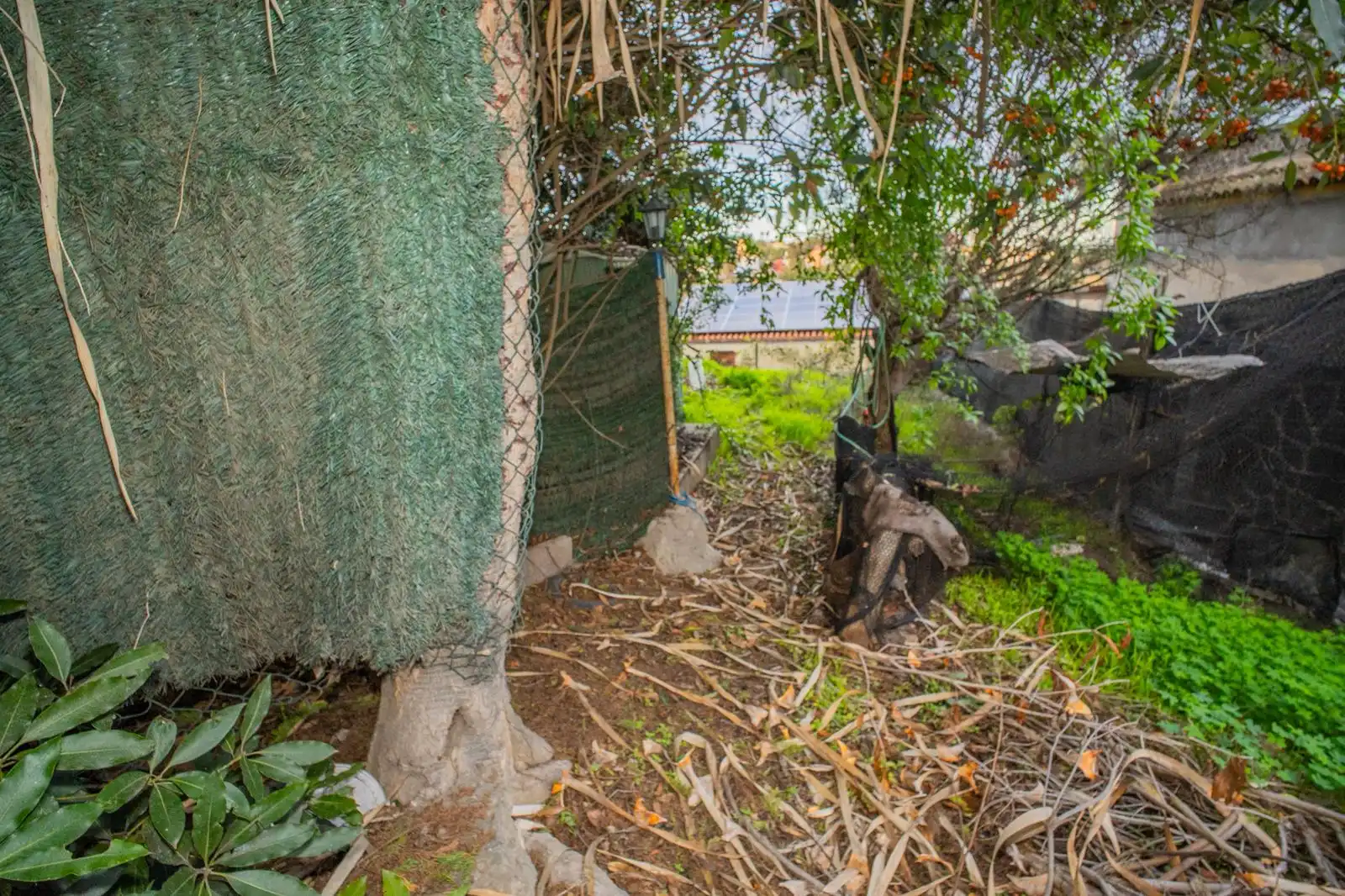 Residential zum Verkauf in Carretera del Centro Monte Lentiscal, 66, Los Alvarados - Fuente los Berros - Bandama