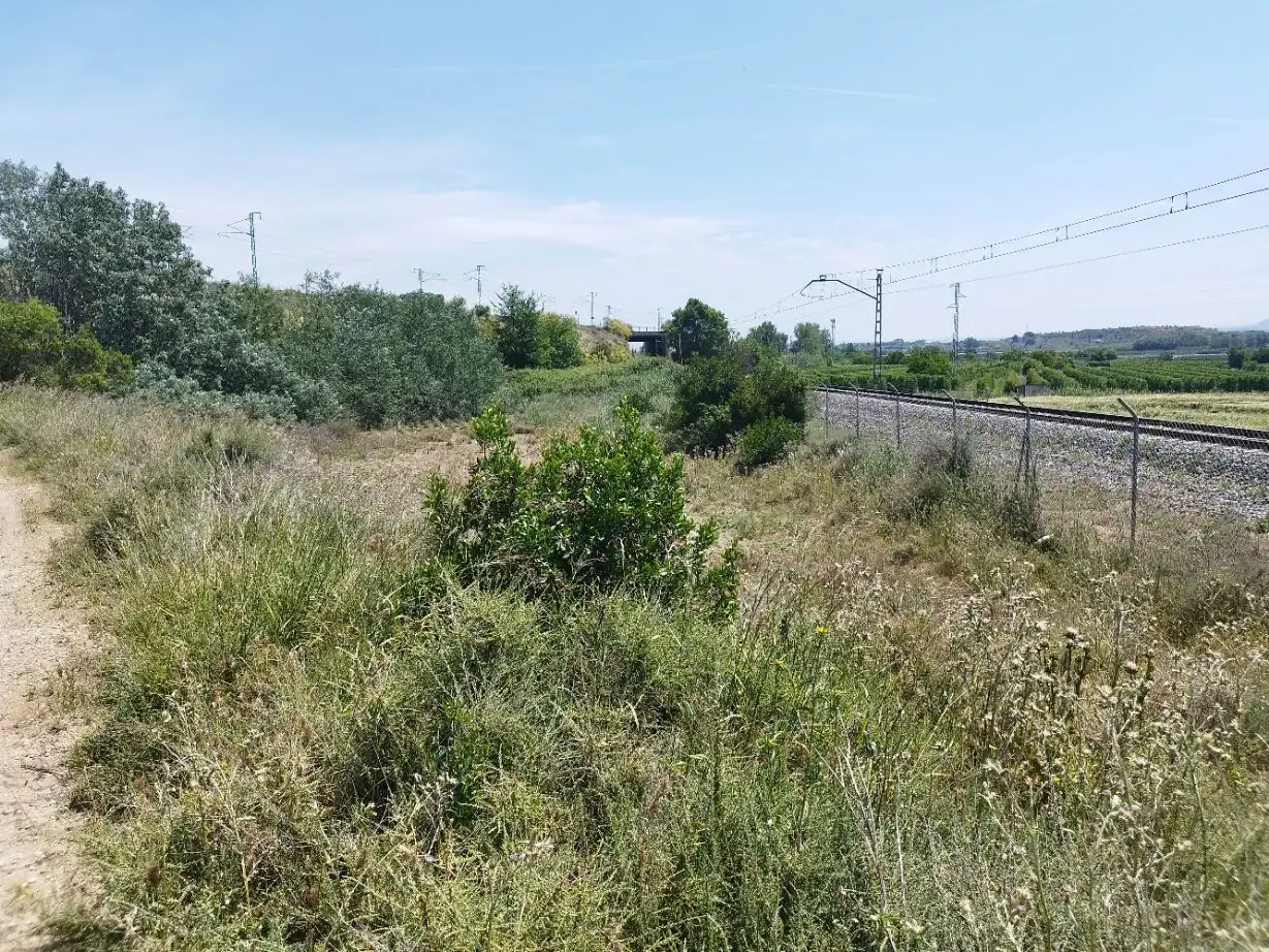 Finca rústica en venta en Puigverd de Lleida