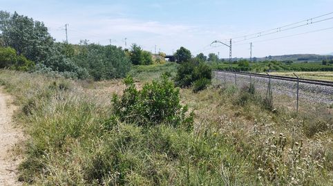 Foto 3 de Finca rústica en venta en Bassa Torre, Puigverd de Lleida, Lleida