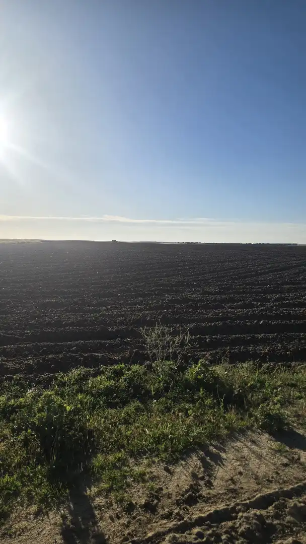 Terreno rustico in vendita a Ontígola, imagen 11