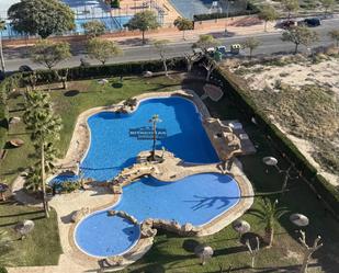 Swimming pool of Flat for sale in El Campello  with Heating, Private garden and Terrace