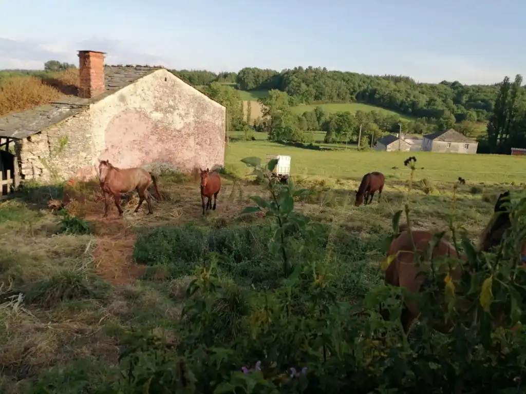 Maison à vendre à Sarria, imagen 2
