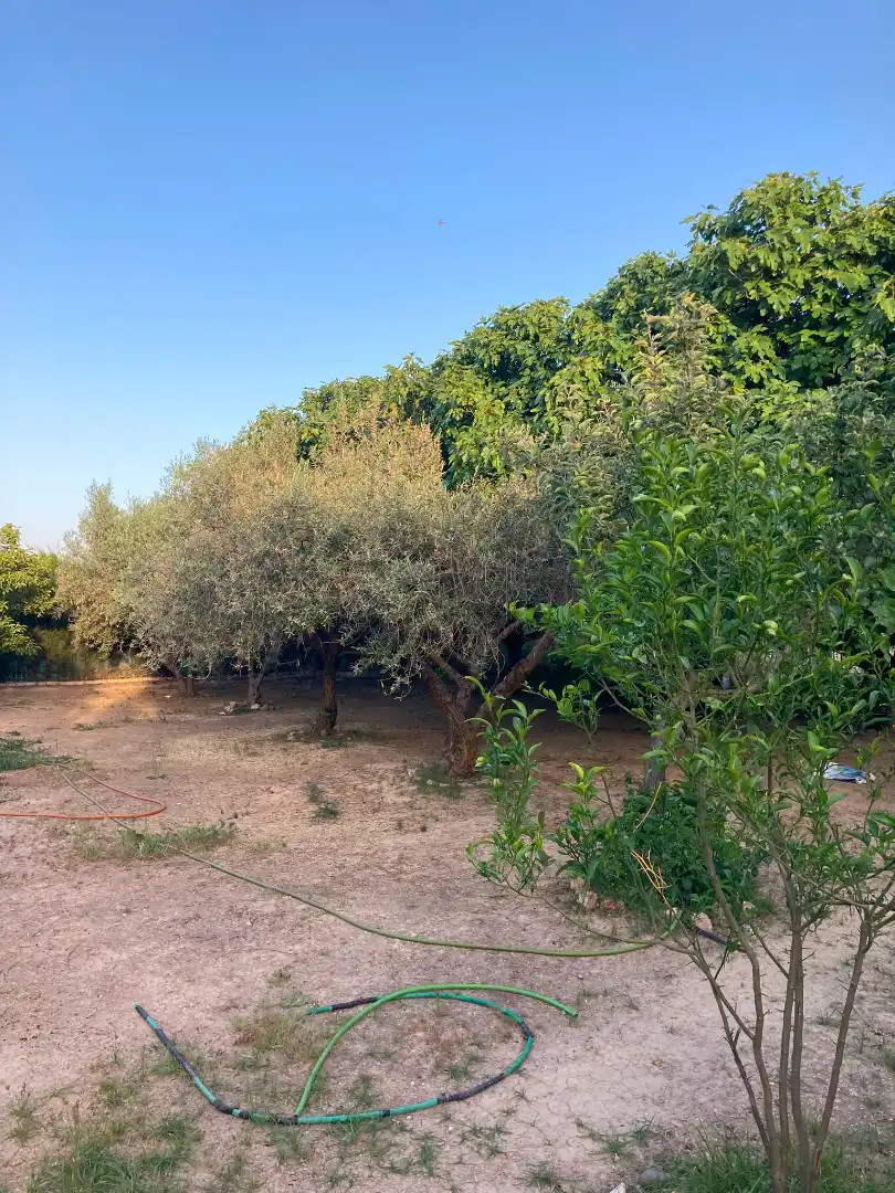 Terreno rústico en venta en Chauchina, imagen 8