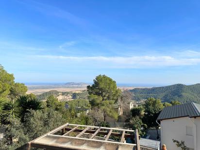 Jardí de Casa o xalet en venda en Llaurí amb Terrassa i Piscina