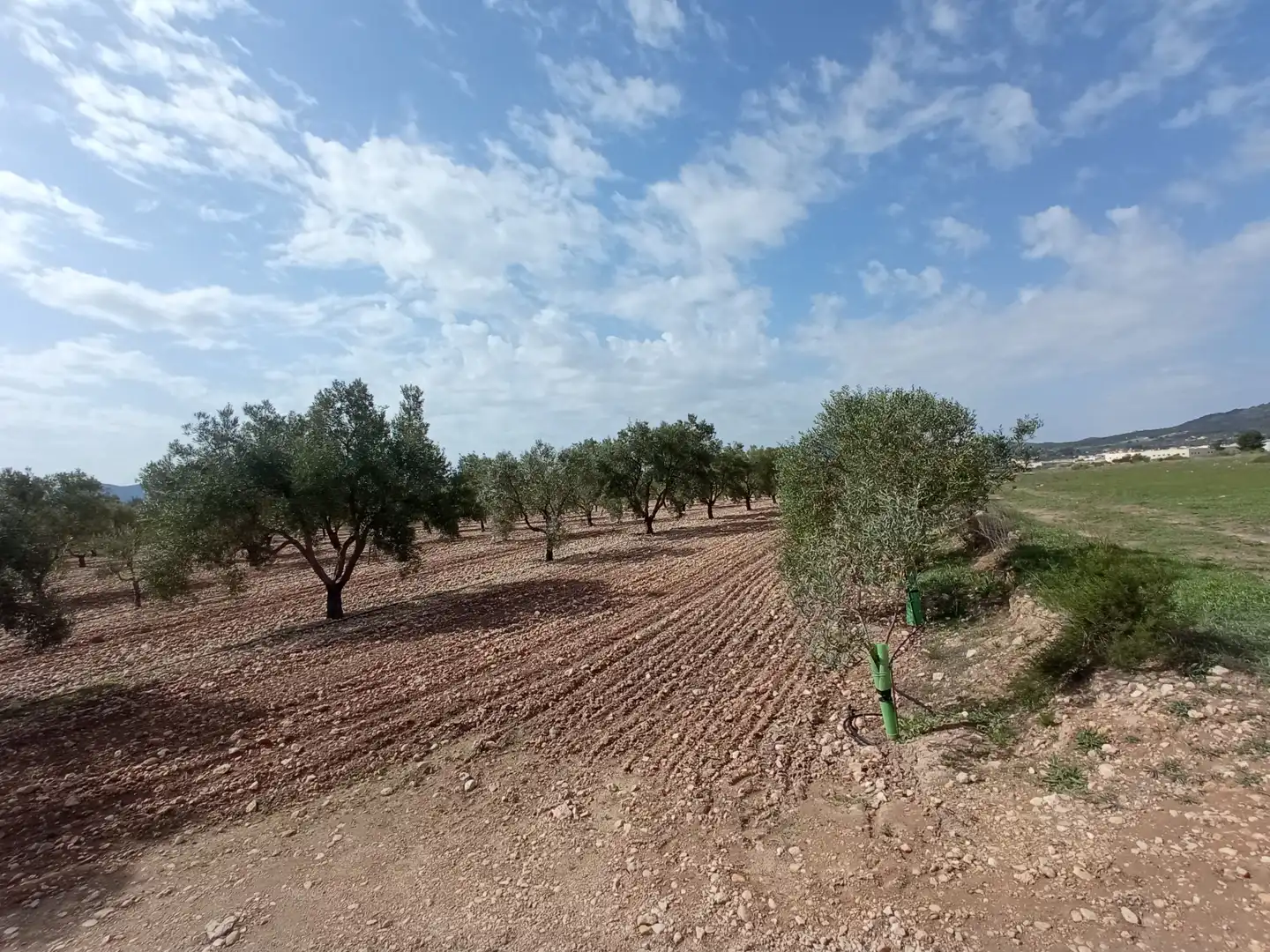 Terreno residenziale in vendita a Salinas, imagen 4