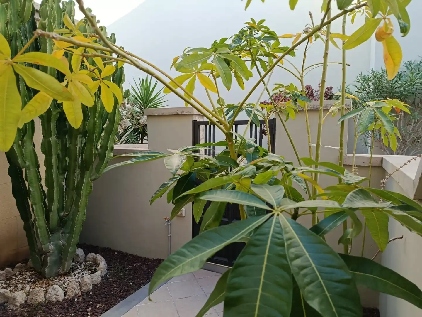 Terrassa de Dúplex en venda en Arona amb Jardí privat, Terrassa i Traster