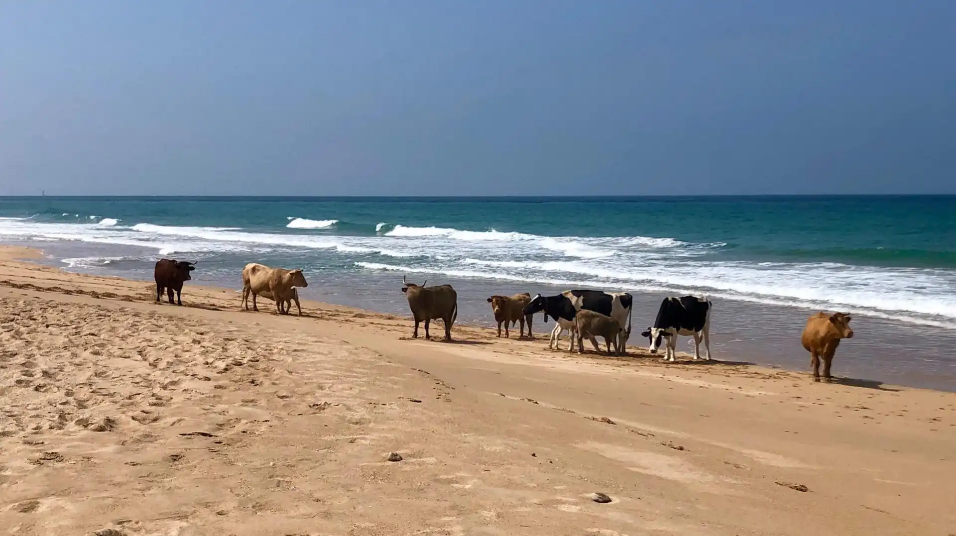 Xalet amb jardí en venda a El Palmar, imagen 16