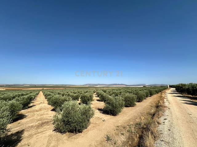 Terreno en Venta en 29520 Fuente de Piedra, Spain, -1 en Fuente de Piedra