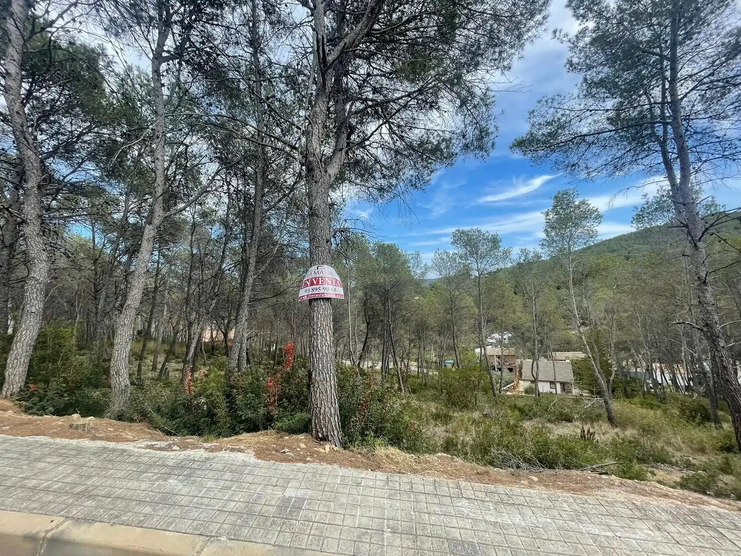 Terreny residencial en venda a Olivella, imagen 4