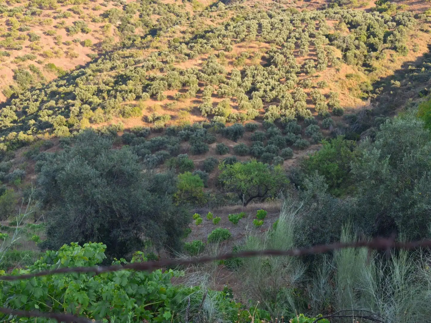 Terrenys i solars en venda a Colmenar, imagen 39