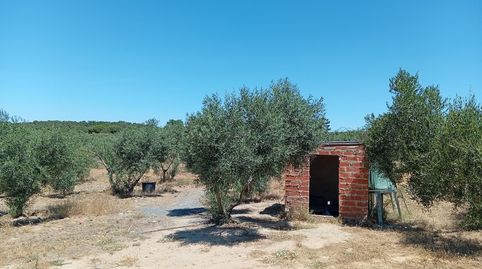 Foto 5 de Finca rústica en venta en Villablanca, Huelva