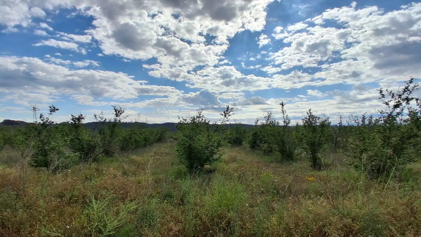 Terreno en venta en El Milà