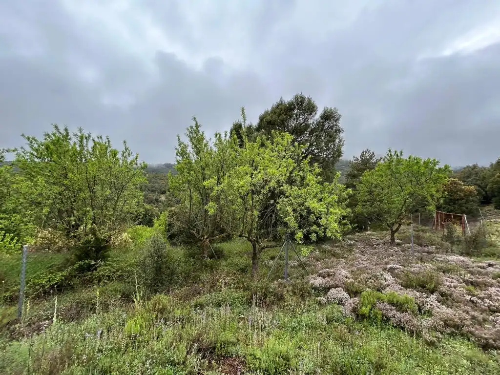 Country homes for sale in El Toro