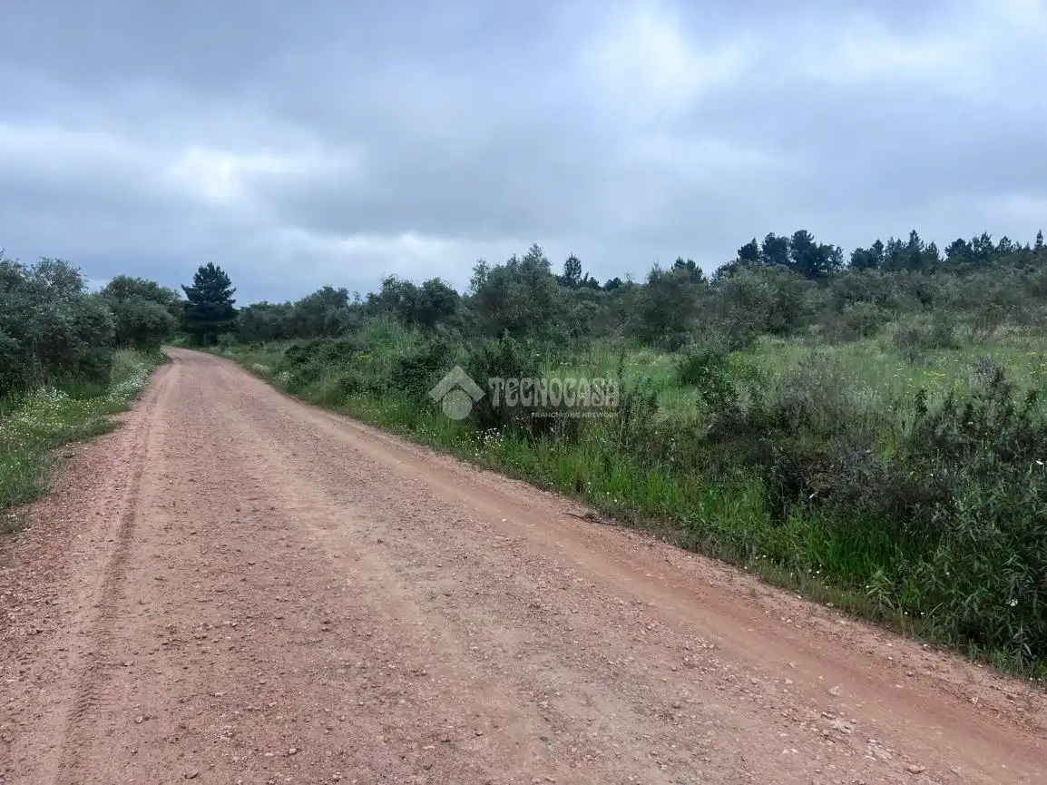 Finca rústica en venta en Puebla de Obando