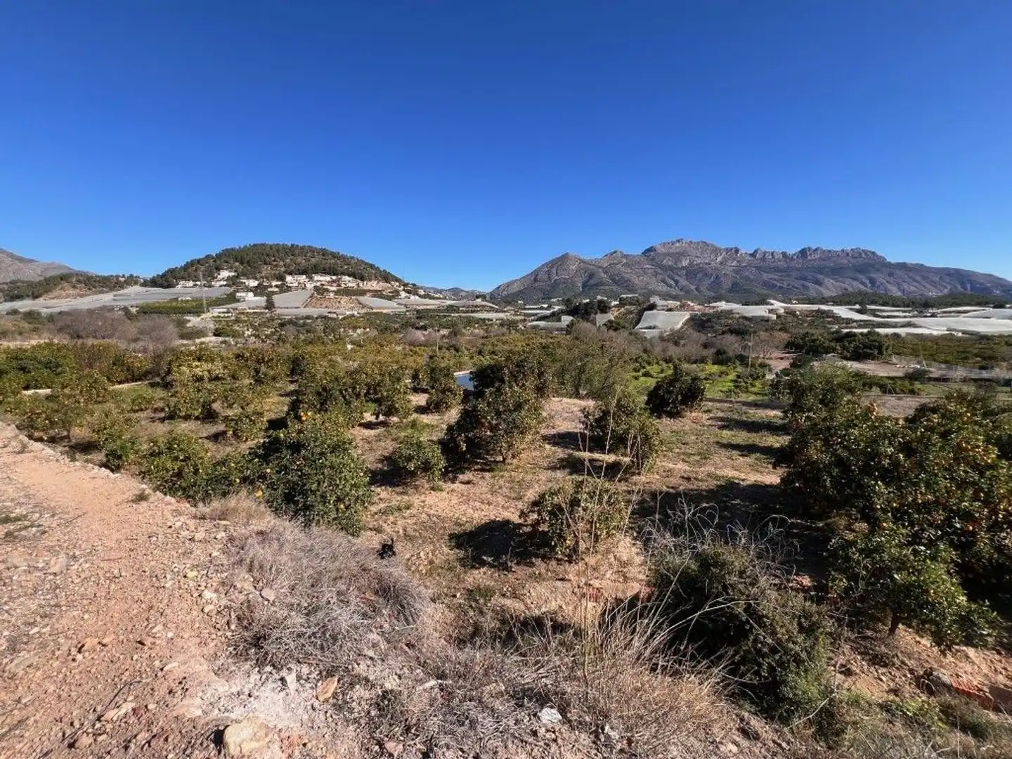 Terrain rustique à vendre à Partida Sentenilla, imagen 2