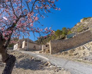 Vista exterior de Finca rústica en venda en Ricote amb Jardí privat