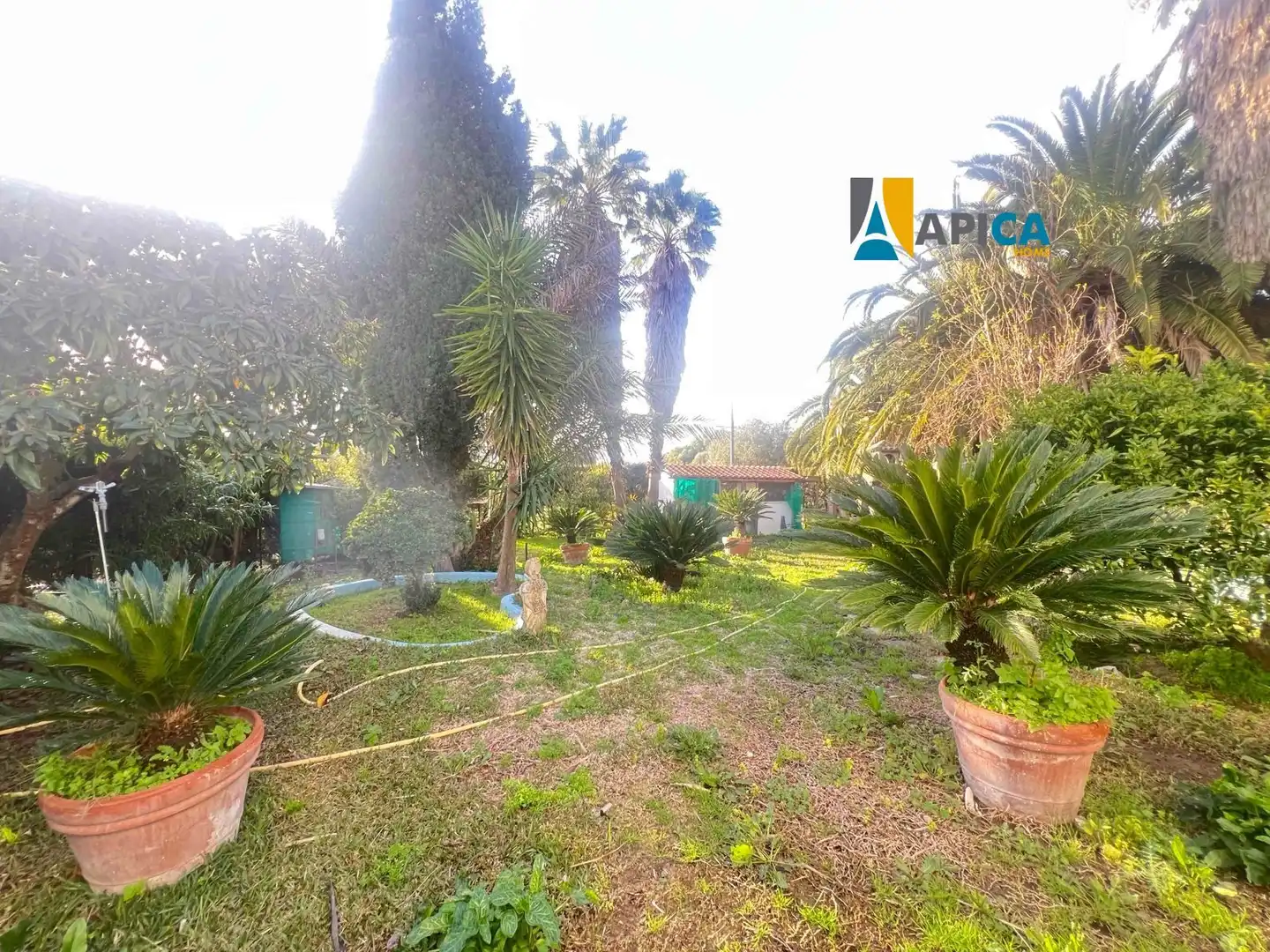 Garden of Houses for sale in Medina Sidonia  with Terrace and Furnished