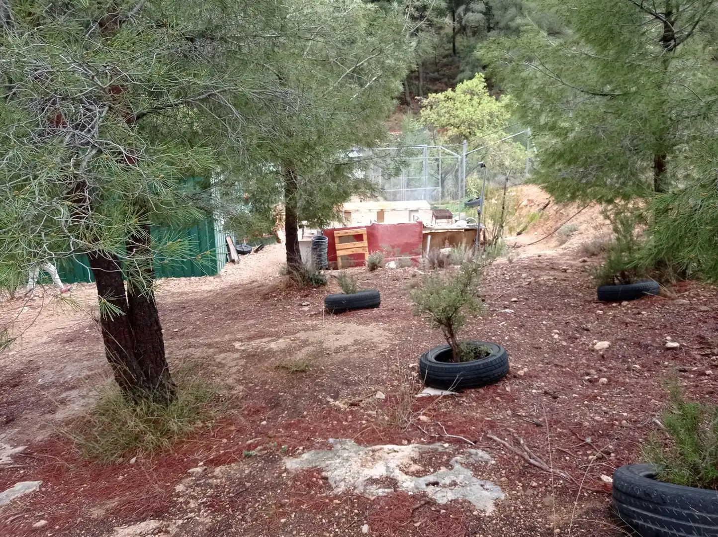 Wohnbaugrundstück zum Verkauf in Monóvar  / Monòver, imagen 35