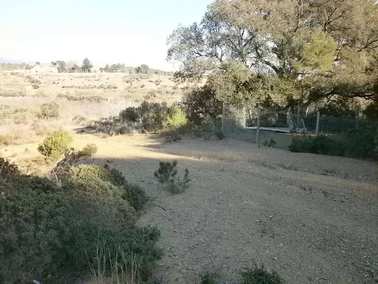 Terreno rustico in vendita a Riudecols, imagen 5