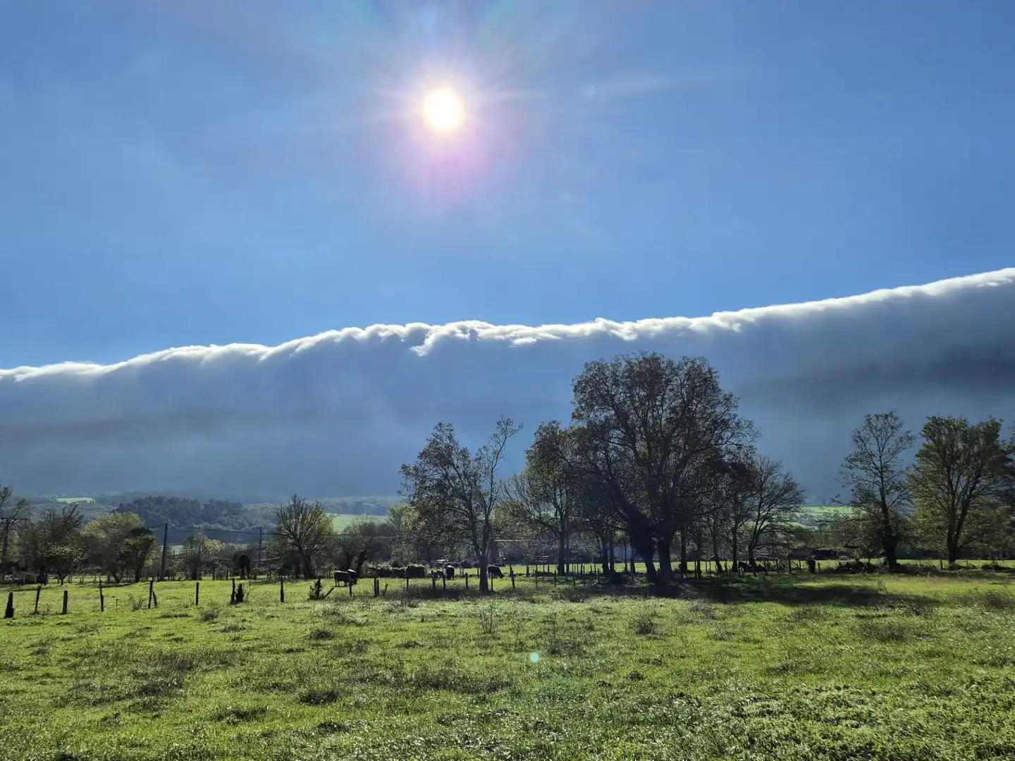 Terreni e lotti in vendita a Valle de Mena, imagen 7