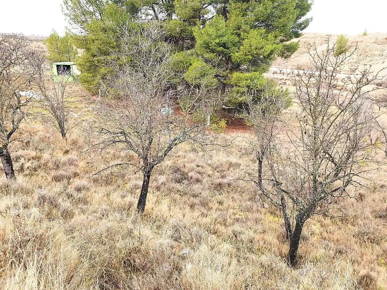 Terreno en venta en Maluenda