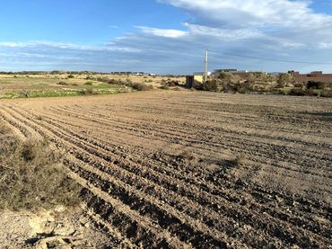 Rural land for sale in Carretera