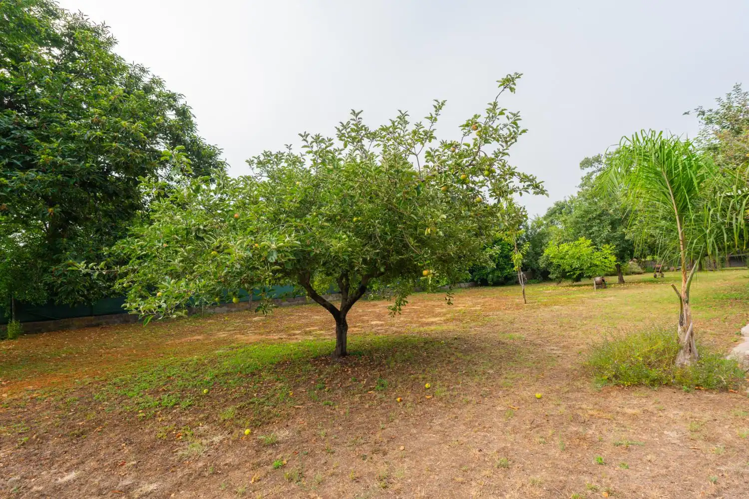 Finca rústica en venda en La Orotava amb Traster