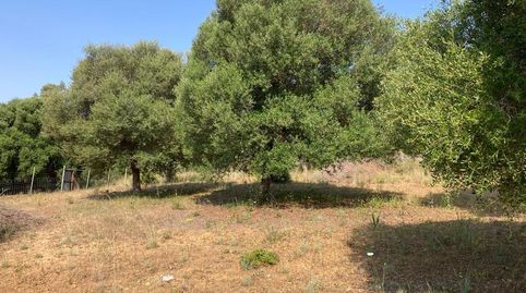 Foto 4 de Finca rústica en venta en La Alcaidesa, Cádiz