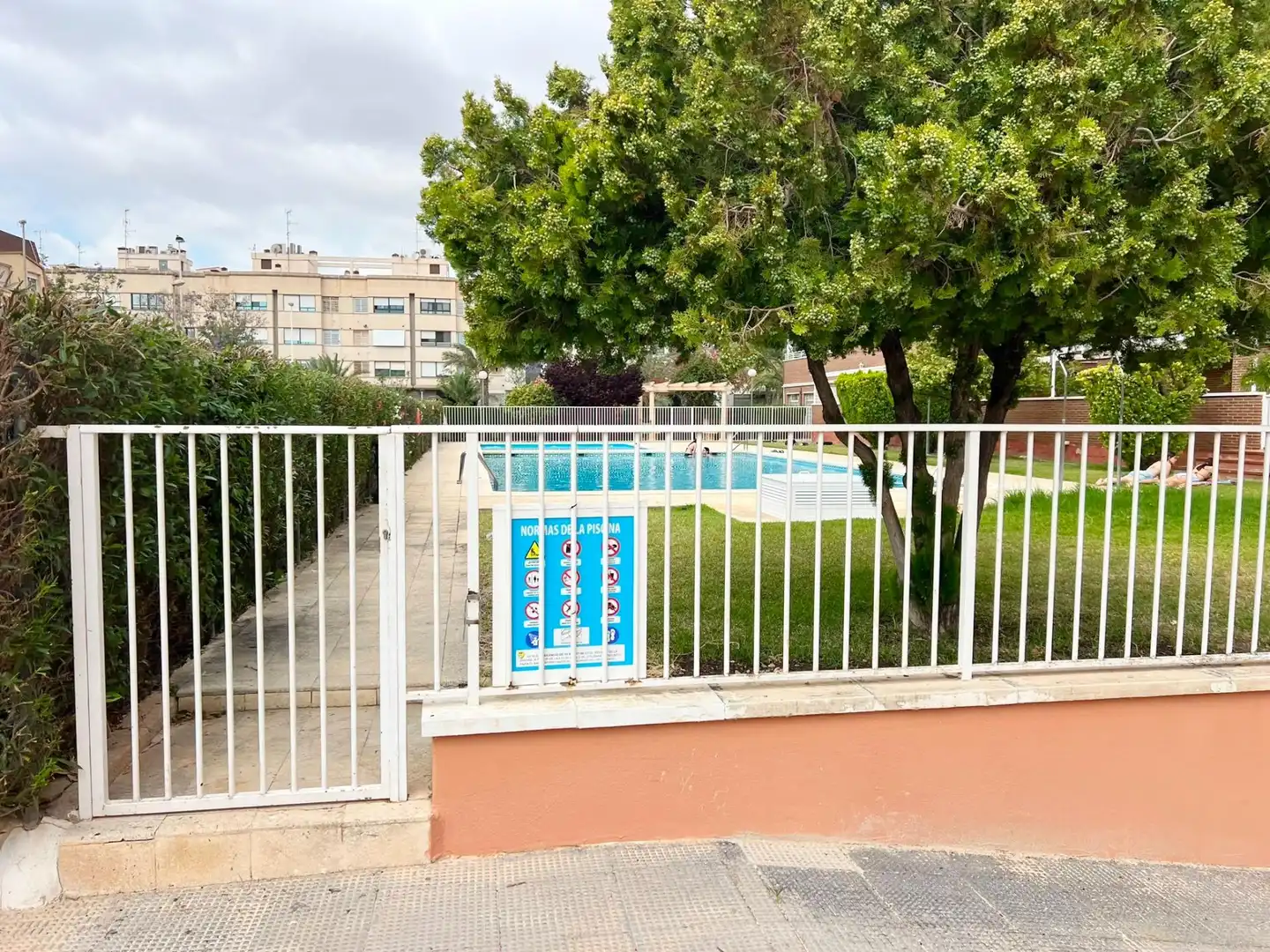 Swimming pool of Houses for sale in Elche ciudad