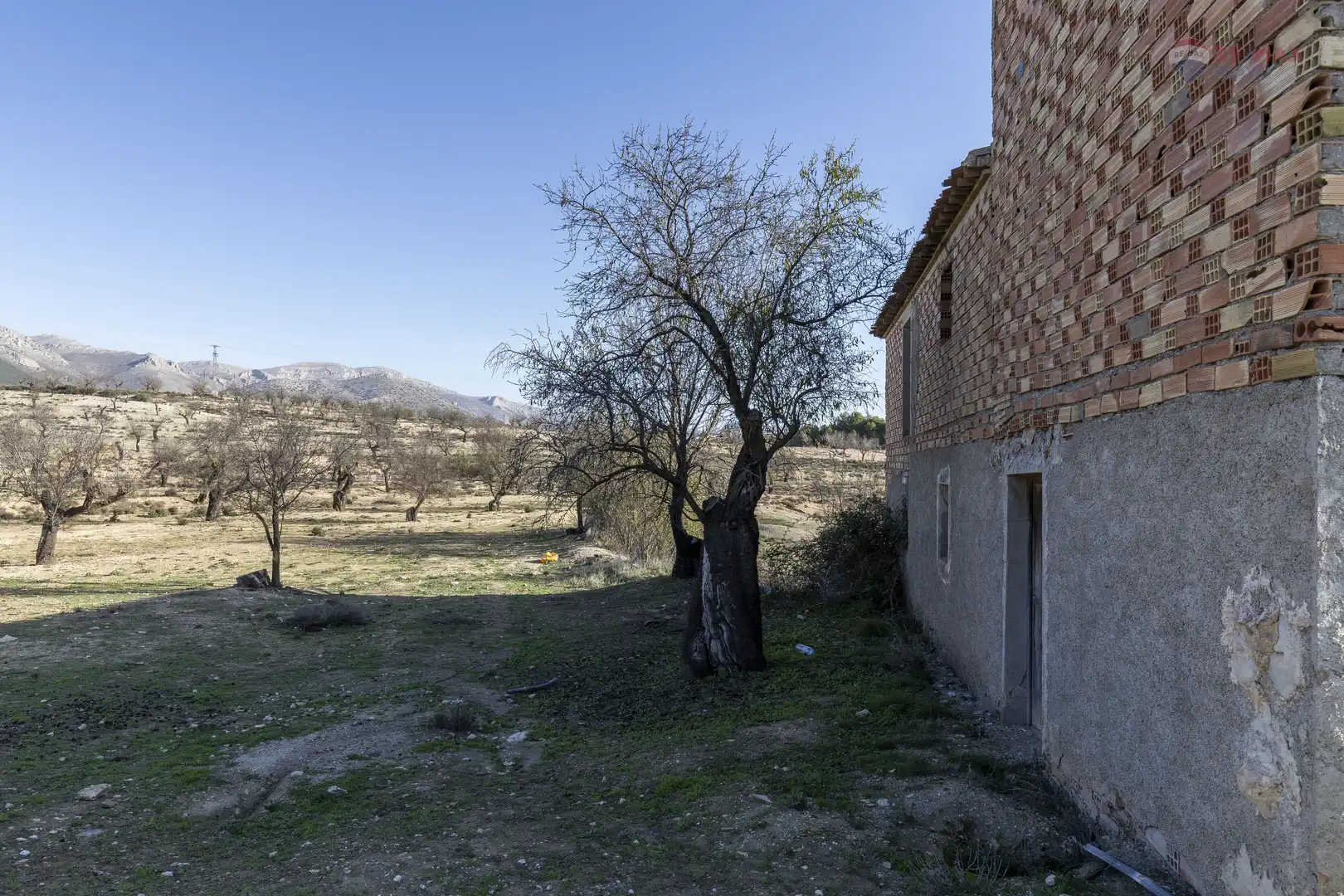 Rural land for sale in Paraje el Vivero 1, imagen 8