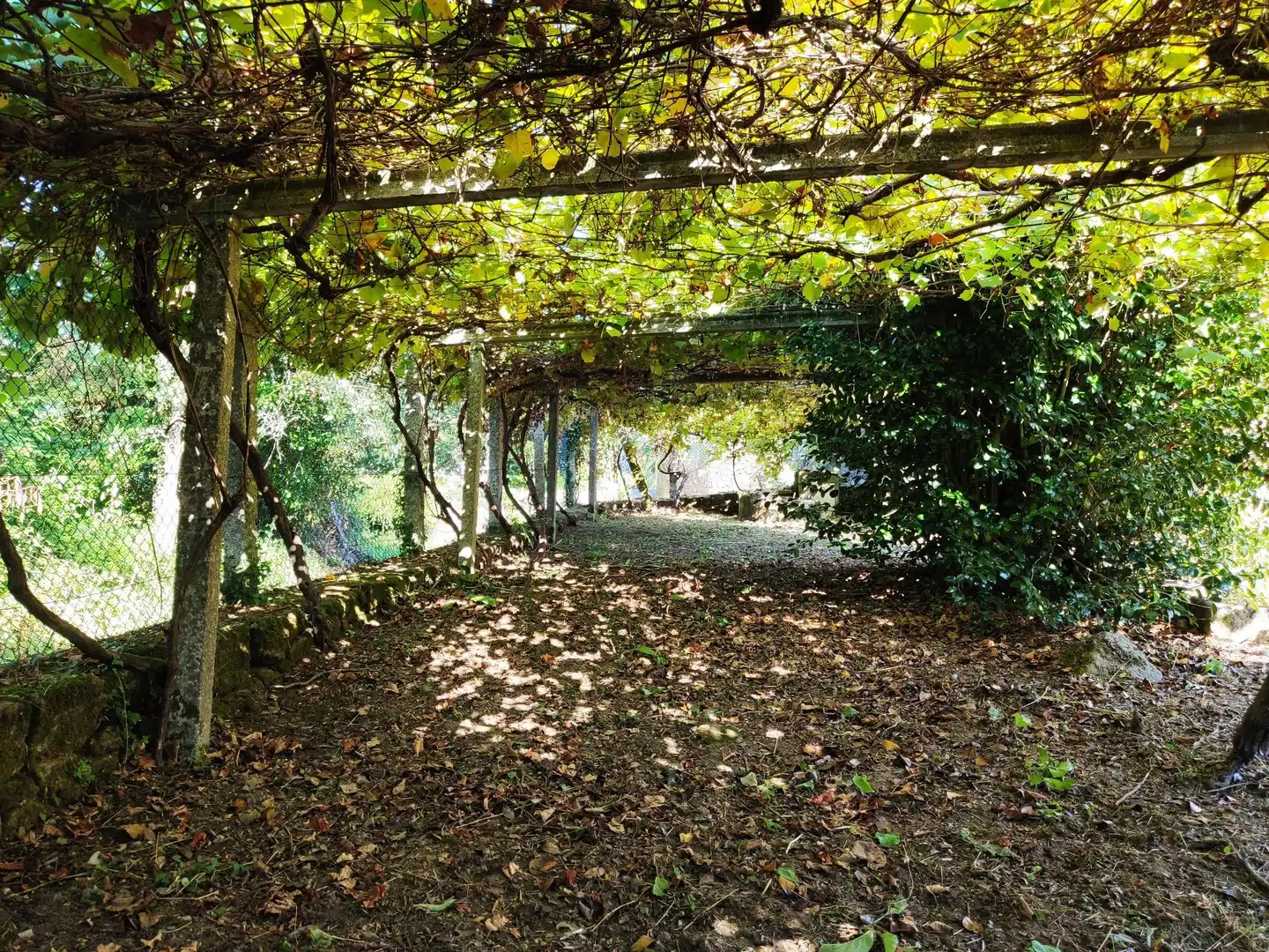 Houses for sale in O Vilar, Padrón