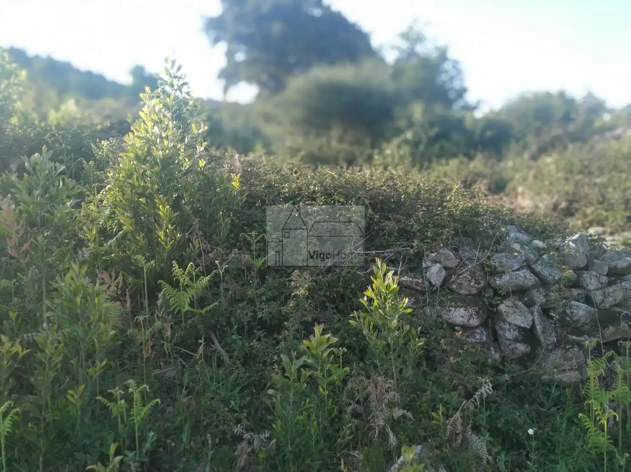 Wohnbaugrundstück zum Verkauf in CARBALLIDO .DOMAIO 21A, imagen 21