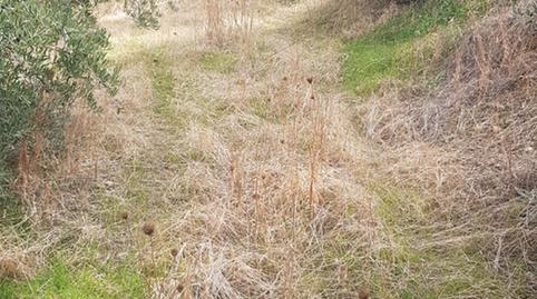 Photo 4 of Residential for sale in Villacarrillo, Jaén