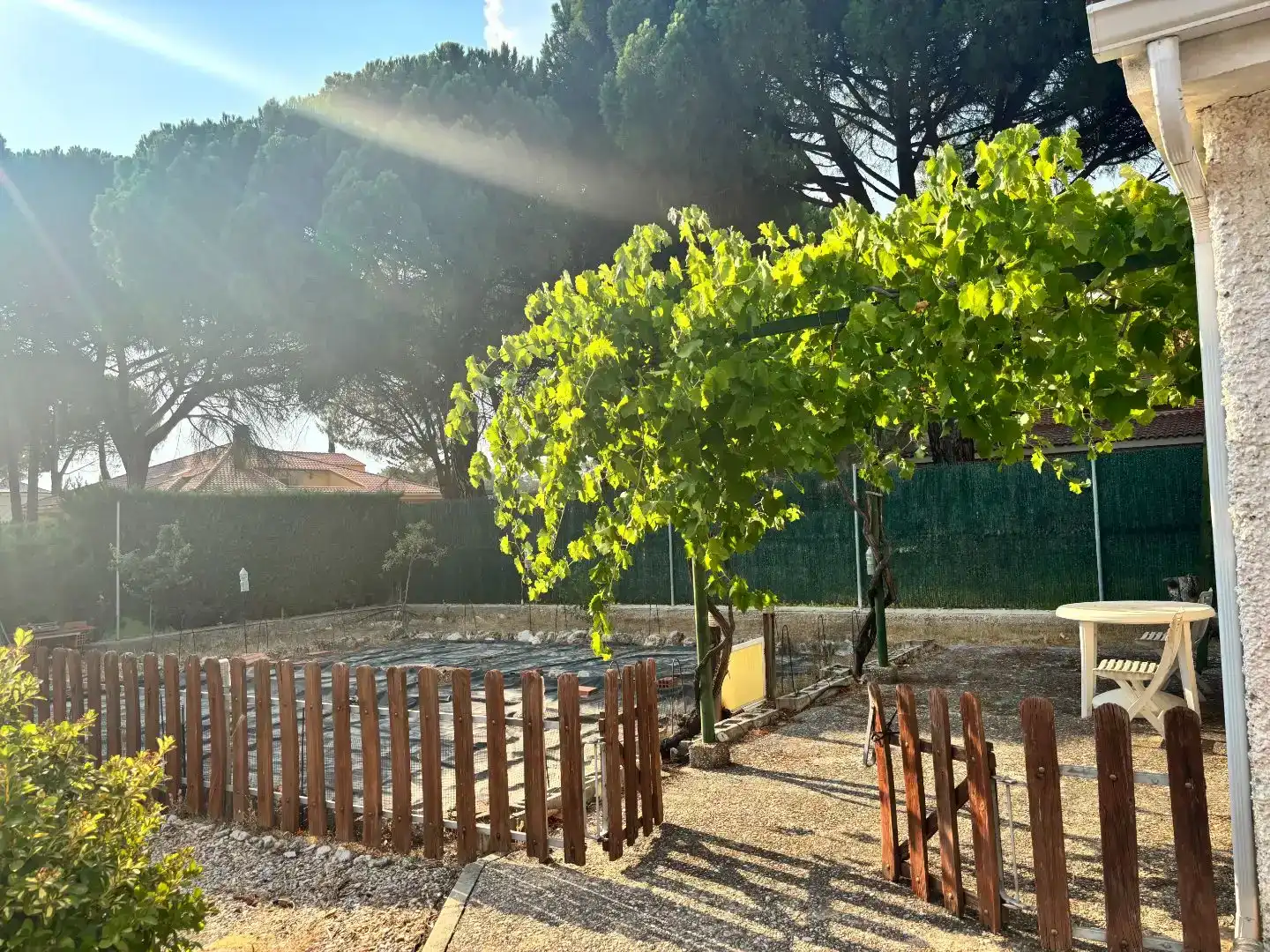 Jardín de Casa o chalet en venta en Mojados con Piscina