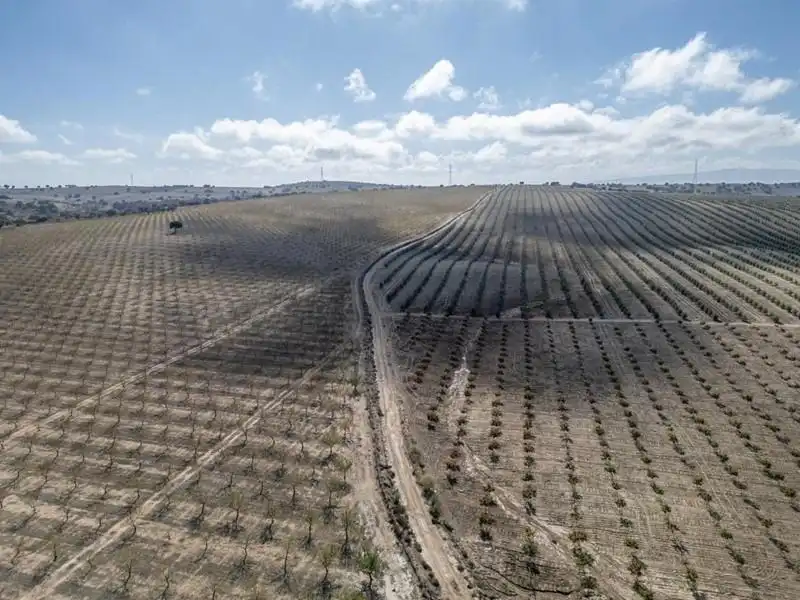 Land for sale in Alamedilla