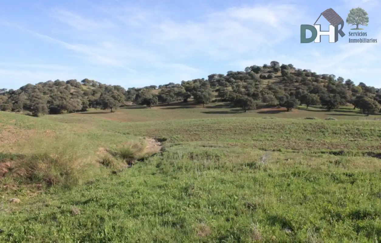 Terrenys i solars en venda a Norte, imagen 10