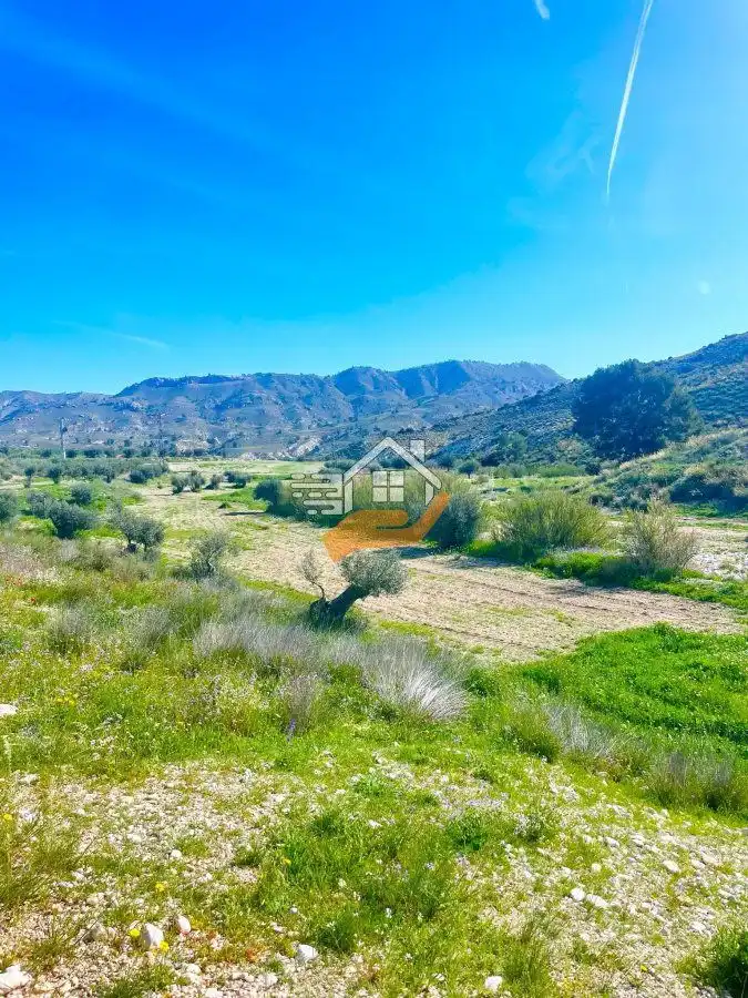 Lands and plots for sale in Pedanías Norte, imagen 22